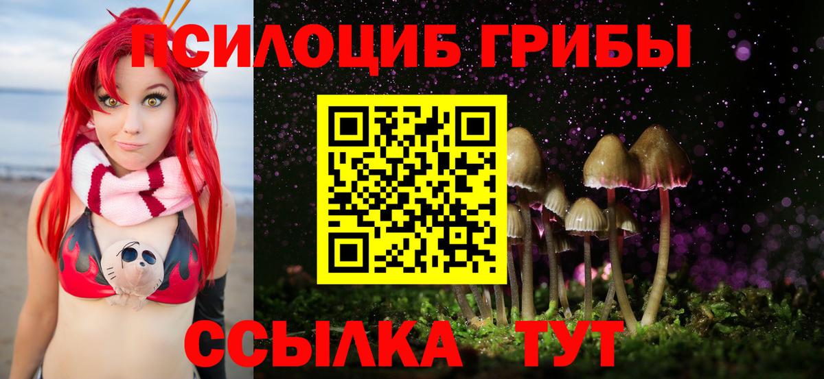 Галлюциногенные грибы Psilocybe Джанкой