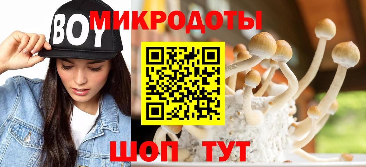 Псилоцибиновые грибы Psilocybe  Вход с VPN  где купить наркоту  Джанкой 